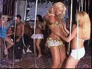 Trans models get off in crazy party